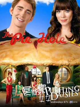 灵指神探Pushing Daisies(2007) | 本剧完结