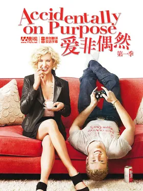 爱非偶然Accidentally on Purpose(2009) | 本剧完结