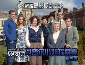 马普尔小姐探案Agatha Christie' s Marple(2010) | 第6季完结