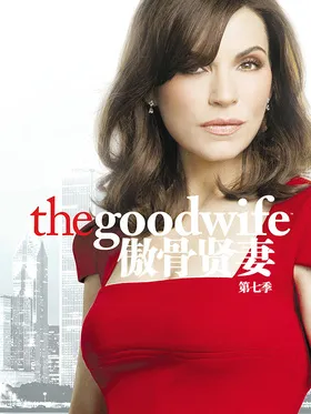 傲骨贤妻The Good Wife(2009) | 本剧完结