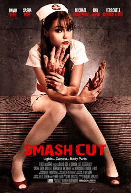 跳跃剪接Smash Cut(2009)