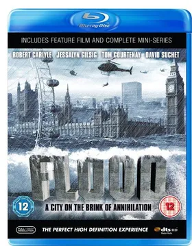 水啸雾都Flood(2007)