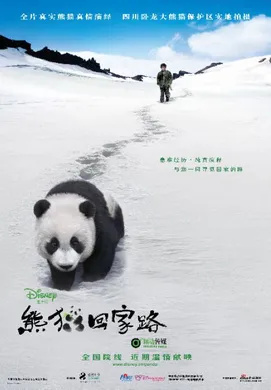 熊猫回家路熊猫回家路(2009)