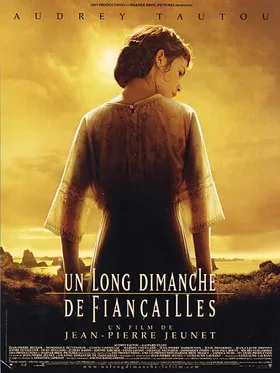 漫长的婚约Un long dimanche de fiançailles(2004)