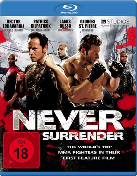 绝不投降Never Surrender(2010)