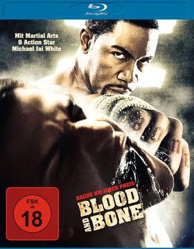血与骨Blood And Bone(2009)