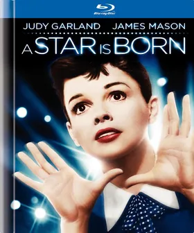 一个明星的诞生A Star Is Born(1954)