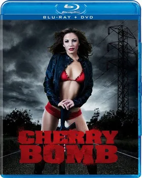 樱桃炸弹Cherry Bomb(2011)