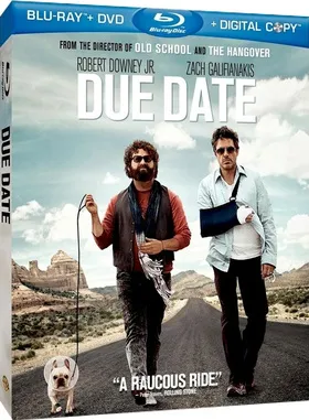 预产期Due Date(2010)