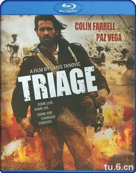 验伤Triage(2009)