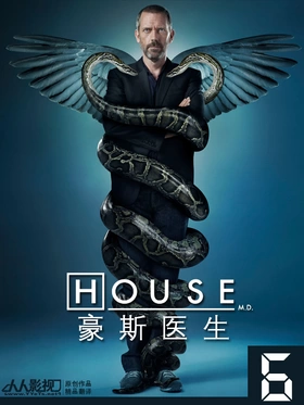 豪斯医生House M.D(2004) | 本剧完结