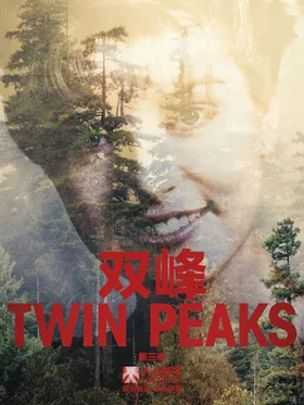 双峰Twin Peaks(1990) | 第3季完结