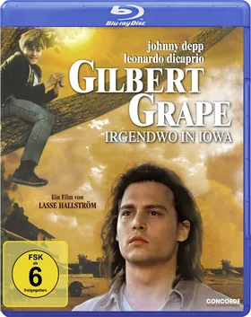 不一样的天空What's Eating Gilbert Grape(1993)