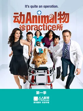 兽医诊所Animal Practice(2012) | 本剧完结