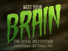 英国皇家科学院圣诞讲座2011 认识大脑BBC RICL 2011 Meet Your Brain(2011) | 本剧完结