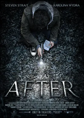 车祸之后After(2012)