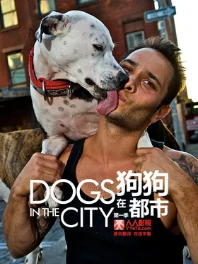 狗狗在都市Dogs in the City (2012) | 第1季完结