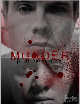 英格兰奇葩联合谋杀事件Murder: Joint Enterprise(2012)