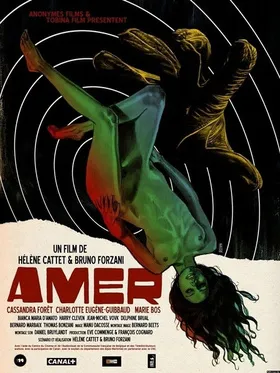 安娜的迷宫Amer(2010)