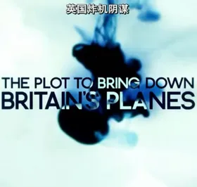 英国炸机阴谋The Plot to Bring Down Britains Planes(2011) | 本剧完结