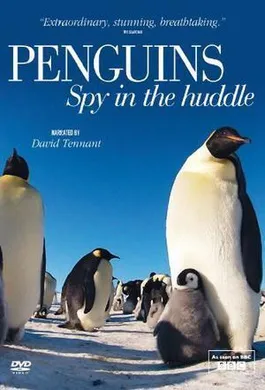 企鹅群里有特务Penguin: Spy In The Huddle(2013) | mini剧连载中