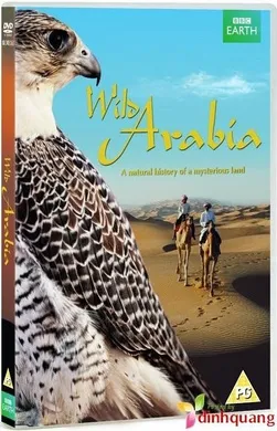 狂野阿拉伯Wild Arabia (2013) | 第1季完结