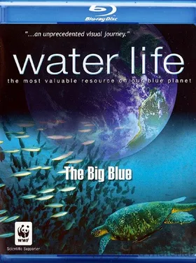 水世界Water Life(2008) | 第2季完结