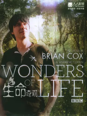 生命的奇迹Wonders of Life(2013) | 本剧完结