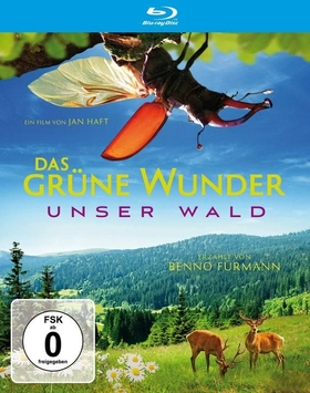 大自然之舞Das grüne Wunder - Unser Wald(2012)