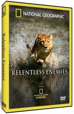 国家地理：冷酷宿敌National.Geographic.Relentless.Enemies(2009) | 本剧完结