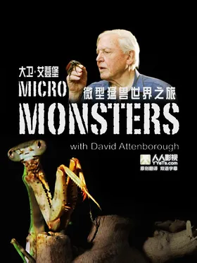 微型猛兽世界之旅Micro Monsters 3D(2013) | 第1季完结