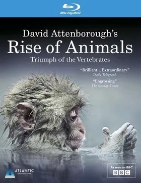 大卫爱登堡追溯动物之崛起：脊椎动物的成就David Attenborough's Rise Of Animals: Triumph Of The Vertebrates(2013) | 第1