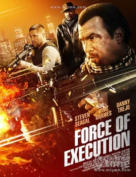 暴力执法Force of Execution(2013)