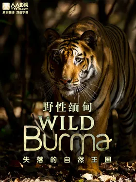 野性缅甸：失落的自然王国Wild Burma: Nature's Lost Kingdom(2013) | 本剧完结