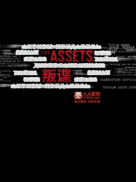 谍海浮沉The Assets(2014) | 本剧完结