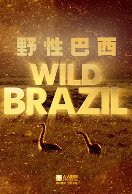 狂野巴西Wild Brazil(2014) | 本剧完结