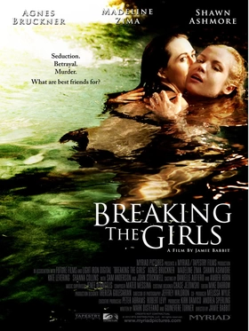 坏女孩Breaking the Girls(2012)