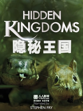 隐秘王国Hidden Kingdoms(2014) | 本剧完结