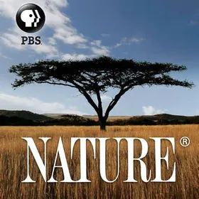 PBS 自然PBS Nature(1982) | 第32季完结