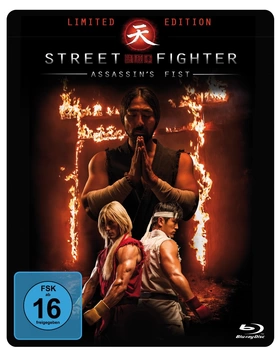 街头霸王：暗杀拳Street Fighter Assassin's Fist(2014) | mini剧连载中