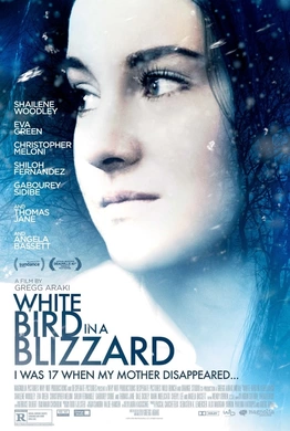 暴风雪中的白鸟White Bird in a Blizzard(2014)