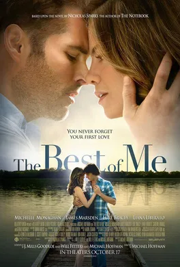 最好的我The Best of Me(2014)