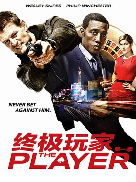 终极玩家The Player(2015) | 本剧完结