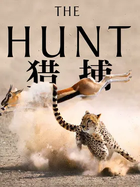 猎捕The Hunt(2015) | 第1季连载中