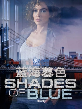 警魂Shades Of Blue(2016) | 本剧完结