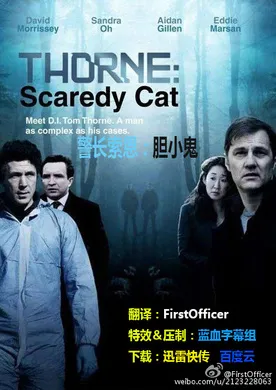 警长索恩：胆小鬼Thorne: ScaredyCat(2010)