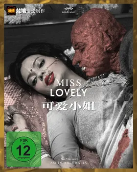 可爱小姐Miss Lovely(2014)