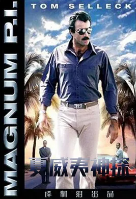 夏威夷神探Magnum,P.I.(1980) | 本剧完结