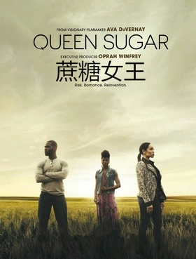 蔗糖女王Queen Sugar(2016) | 第7季完结