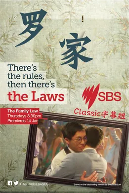 罗家The Family Law(2016) | 本剧完结